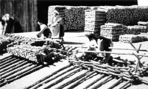Construction d'un train de bois - La branche - Construction d'un train de bois - La branche -