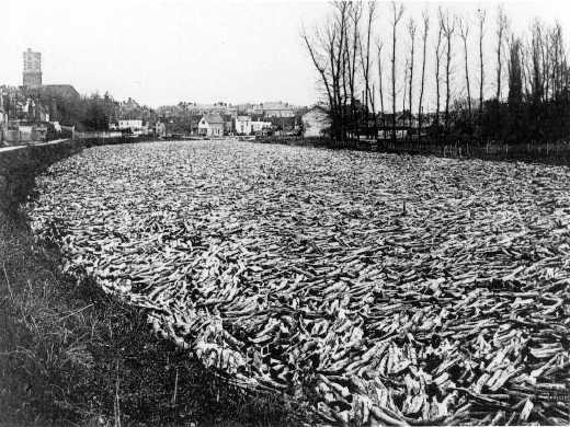 Une rivière de bois à Clamecy Une rivière de bois à Clamecy