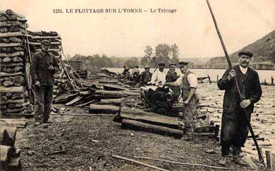 Le tricage Le tricage